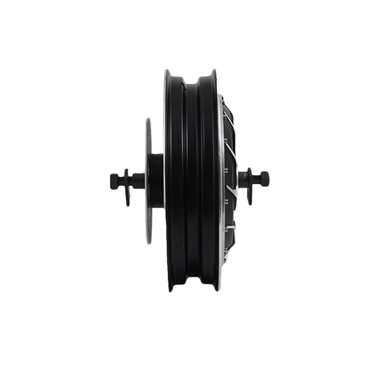 QS 8000W 14inch 273 Electric I - Qs Motor 273 8000W Hub Motor 评论和价格