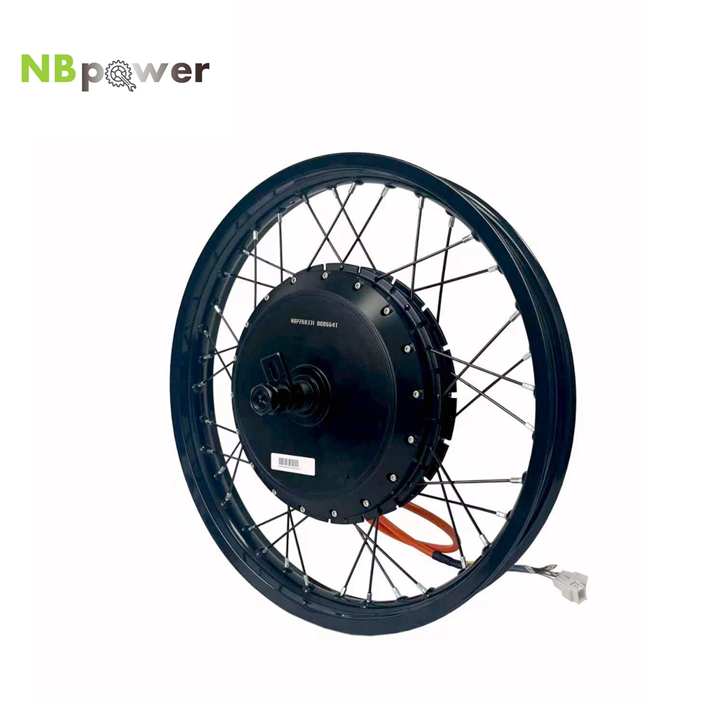 NBpower/170mm Dropout QS 273 4 - Qs Motor 273 8000W Hub Motor 评论和价格
